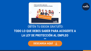 [Ebook] Todo sobre la Ley de Protección al Empleo