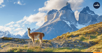 7 lugares para vacacionar en Chile que le puedes recomendar a tu equipo